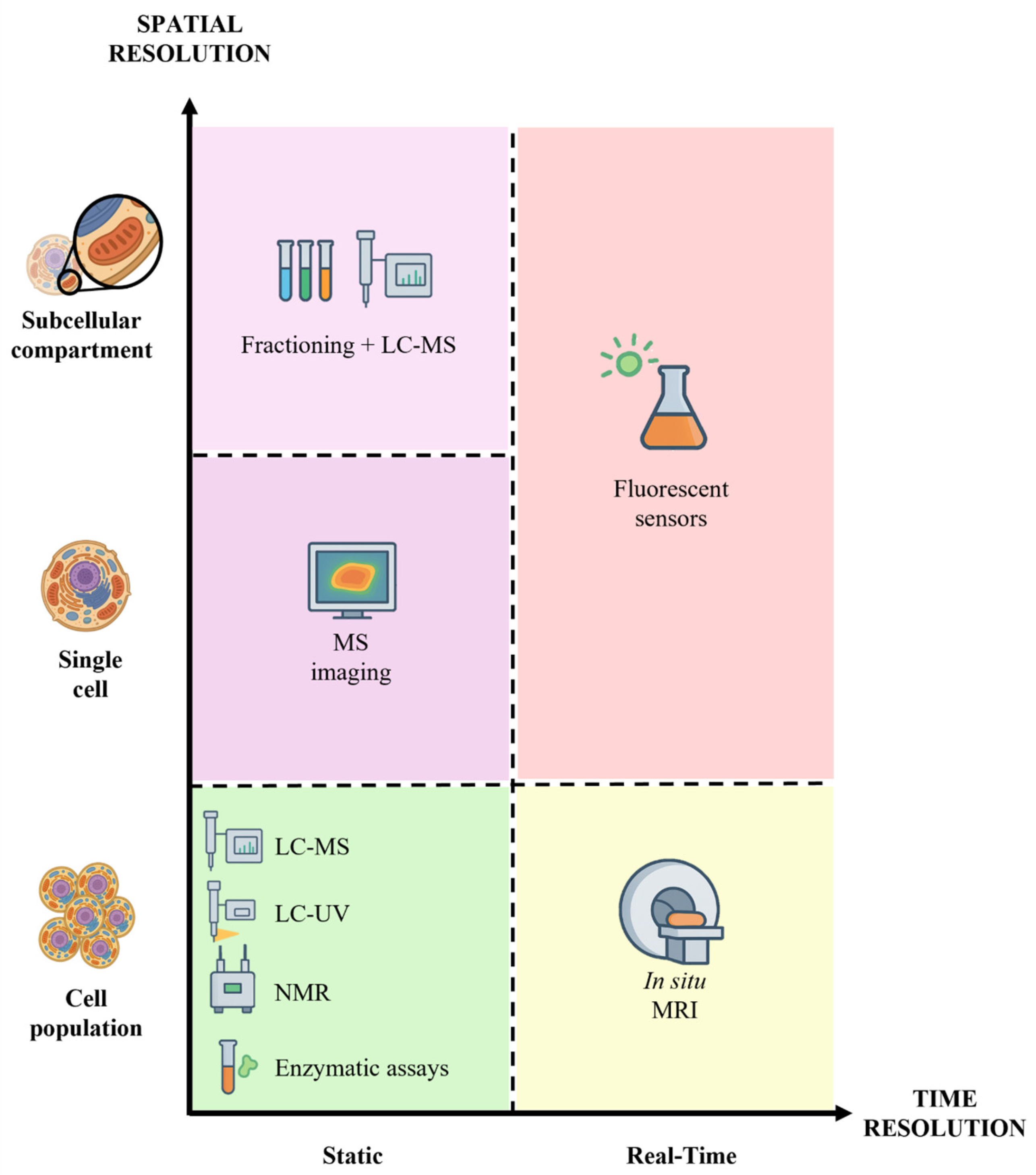 Metabolites 16 00338 g002