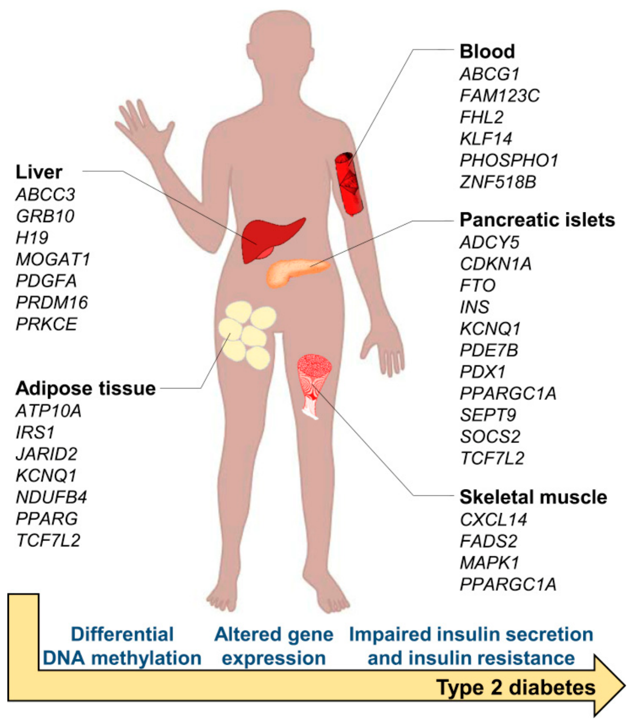Metabolites 16 00341 g009 Metabolites 16 00341 g009