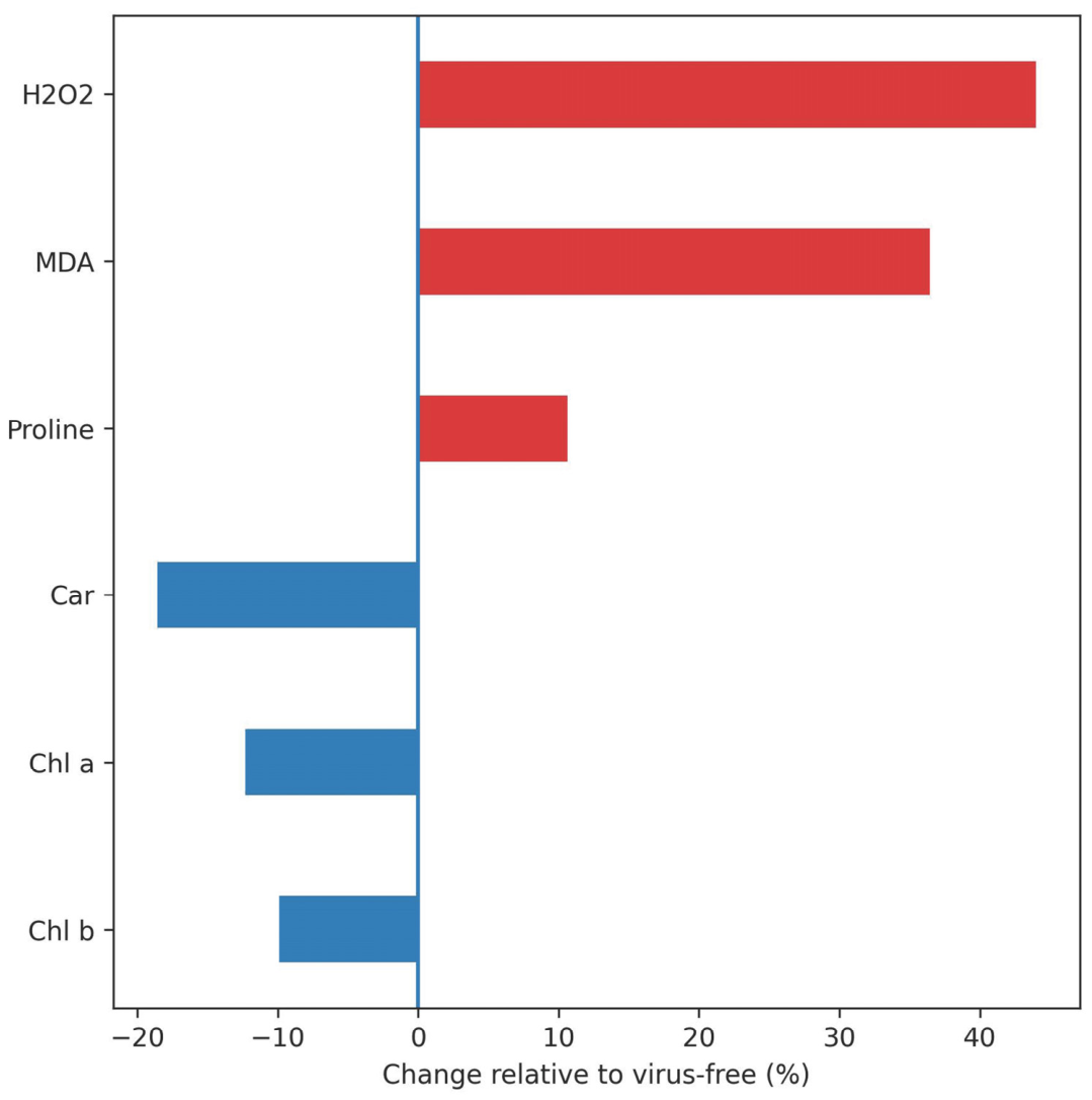 Metabolites 16 00359 g001 Metabolites 16 00359 g001