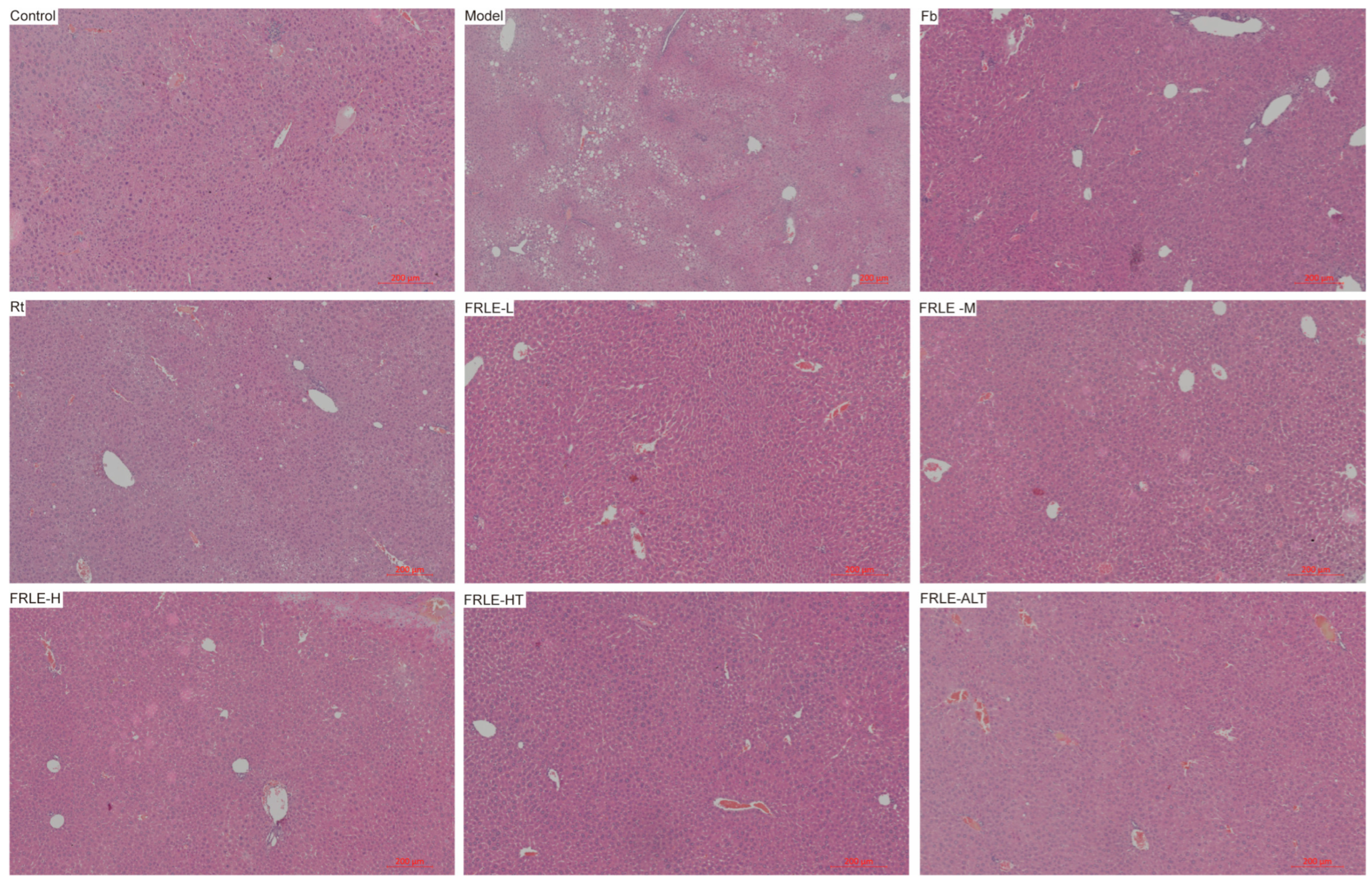 Metabolites 16 00392 g007 Metabolites 16 00392 g007