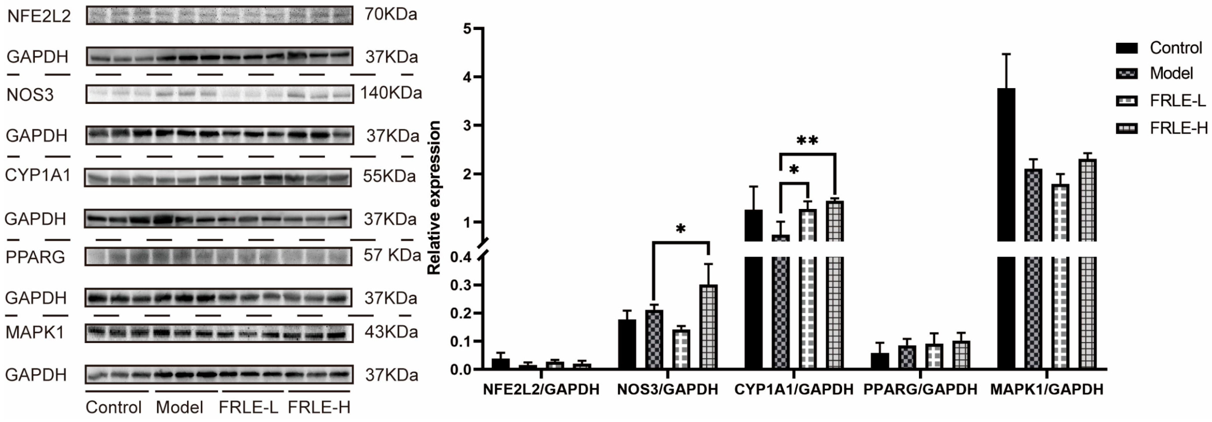 Metabolites 16 00392 g011 Metabolites 16 00392 g011
