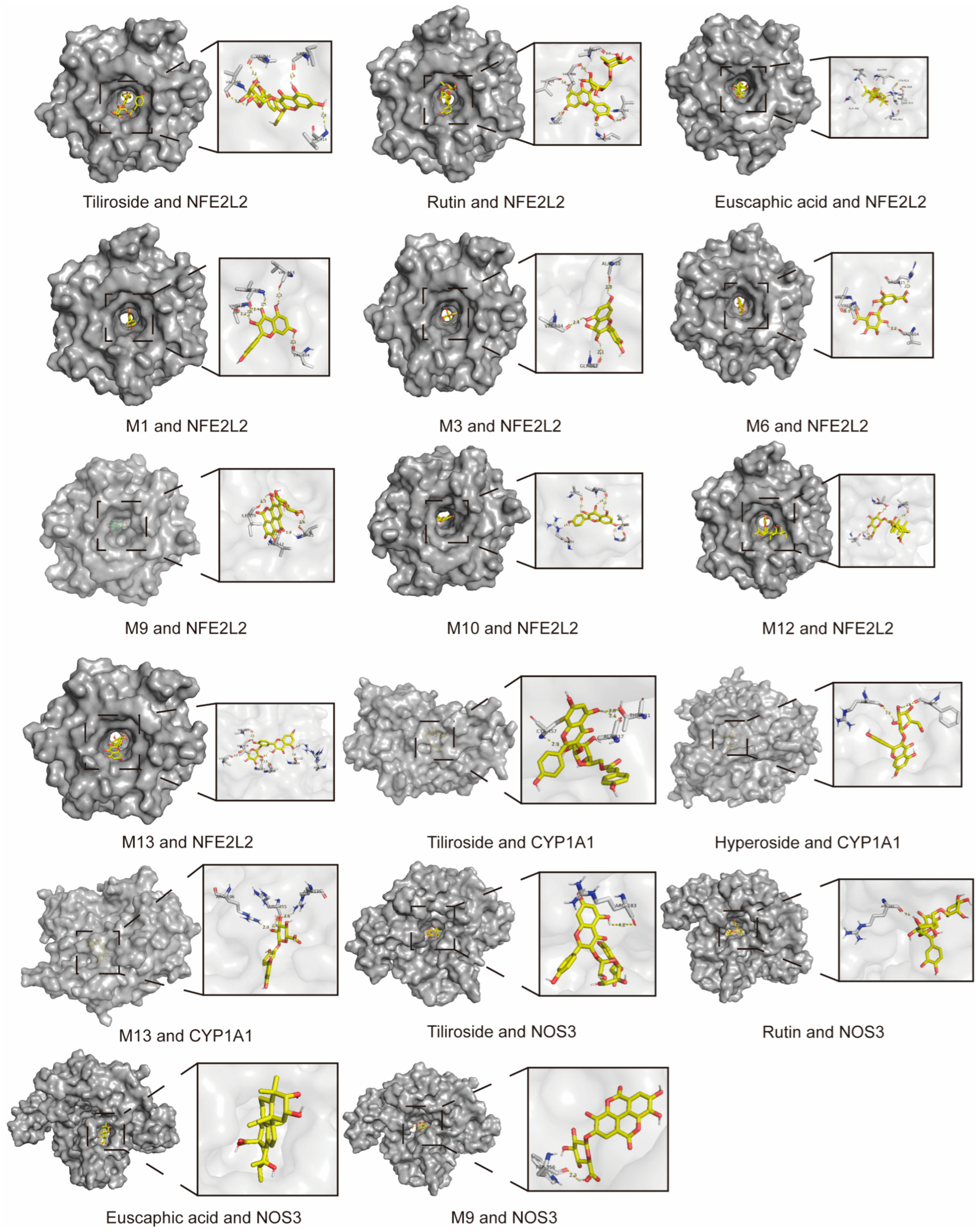 Metabolites 16 00392 g012 Metabolites 16 00392 g012
