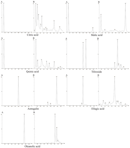 Metabolites 16 00392 g0a2b