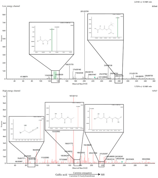 Metabolites 16 00392 g0a3h