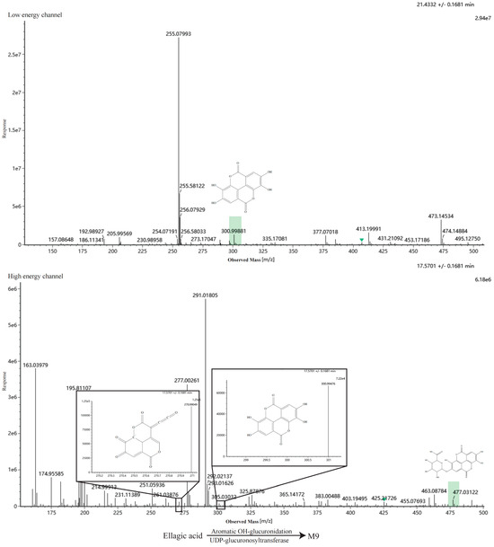 Metabolites 16 00392 g0a3i