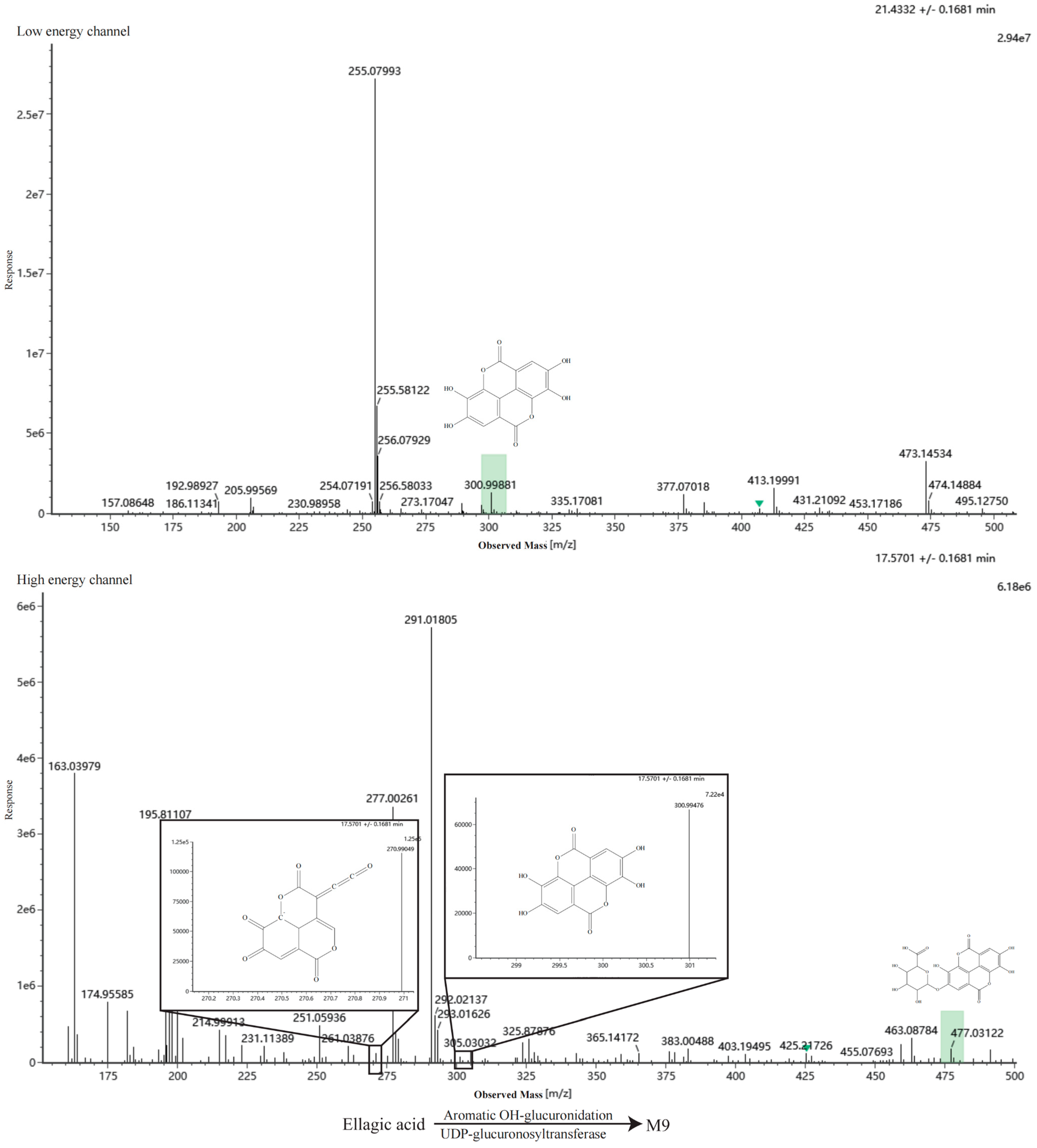 Metabolites 16 00392 g0a3i Metabolites 16 00392 g0a3i