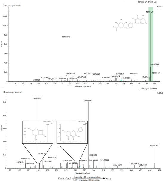 Metabolites 16 00392 g0a3k