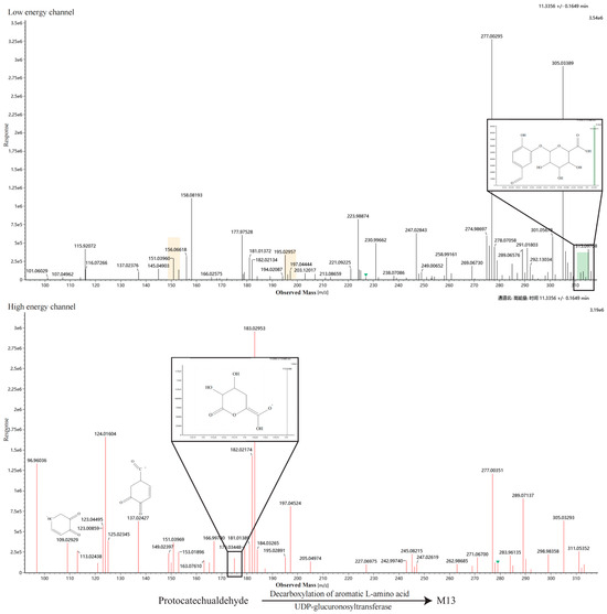 Metabolites 16 00392 g0a3m