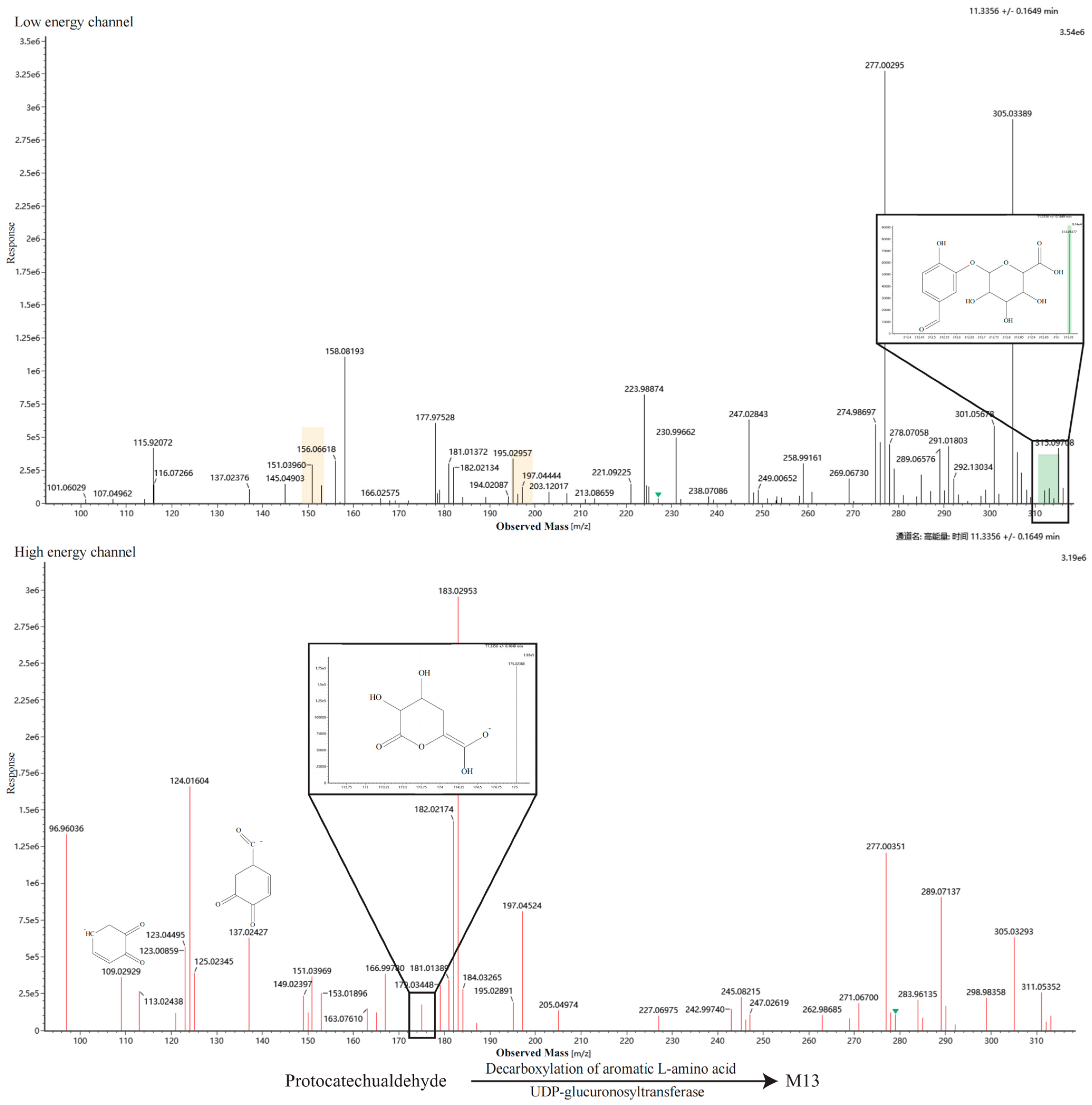 Metabolites 16 00392 g0a3m Metabolites 16 00392 g0a3m