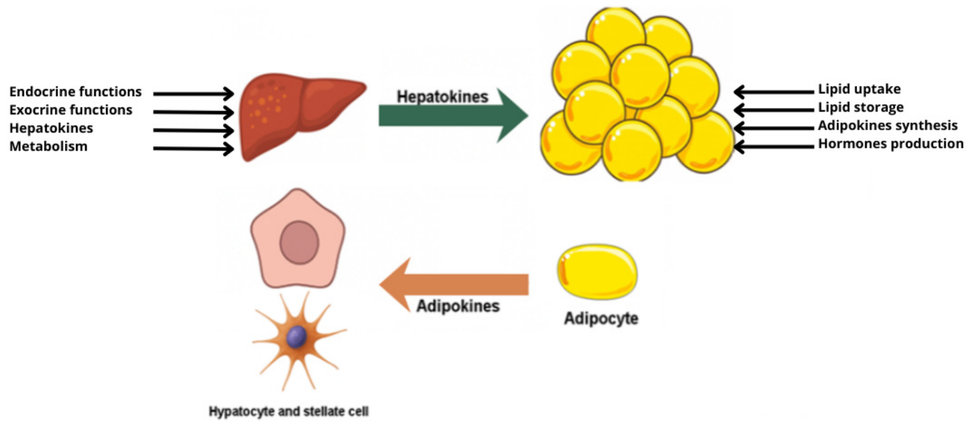 Metabolites 16 00393 g001 Metabolites 16 00393 g001
