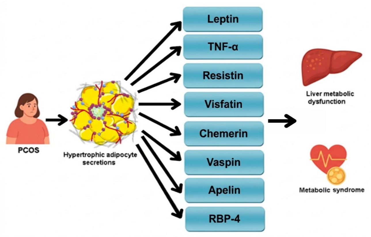 Metabolites 16 00393 g005 Metabolites 16 00393 g005