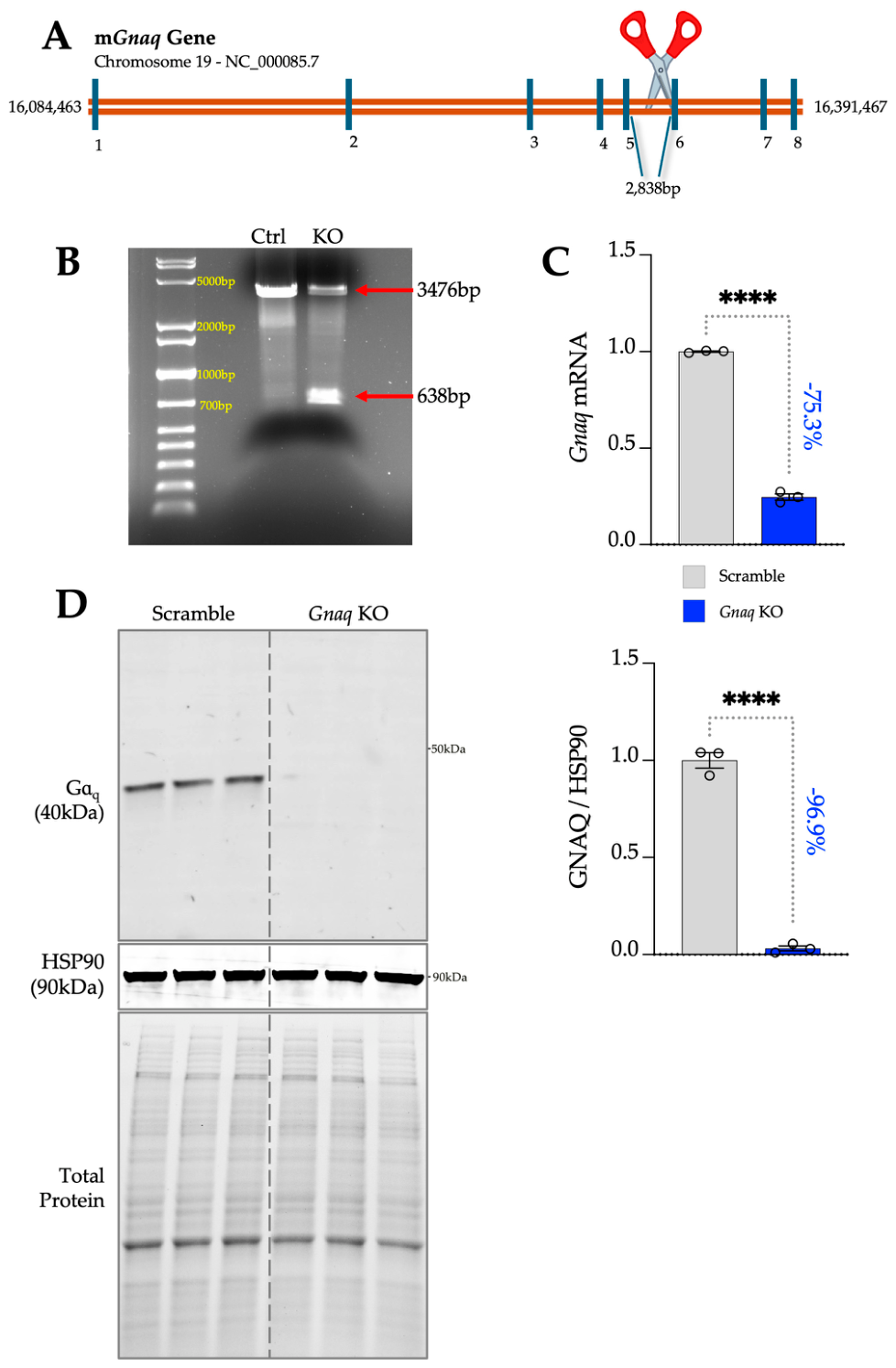 Metabolites 16 00418 g002 Metabolites 16 00418 g002