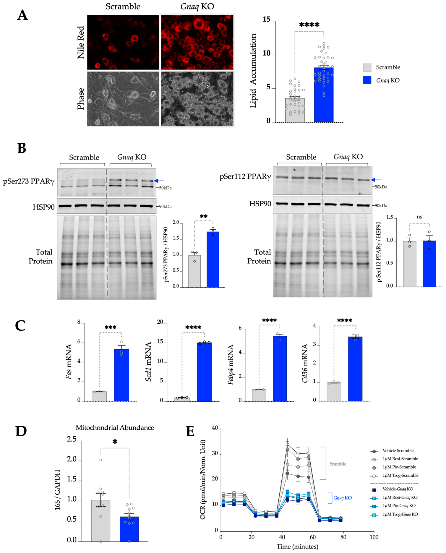 Metabolites 16 00418 g003 Metabolites 16 00418 g003