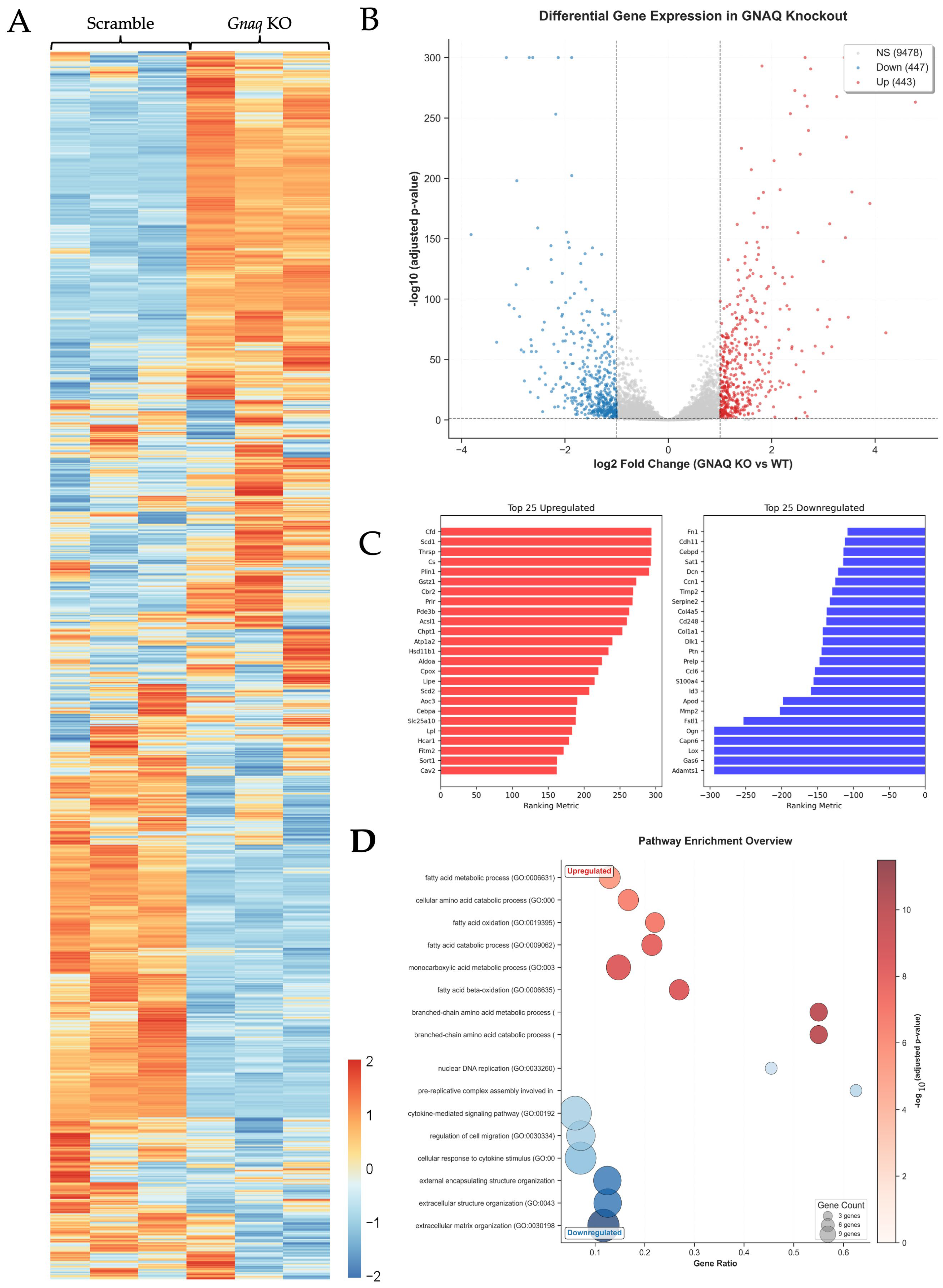 Metabolites 16 00418 g004 Metabolites 16 00418 g004