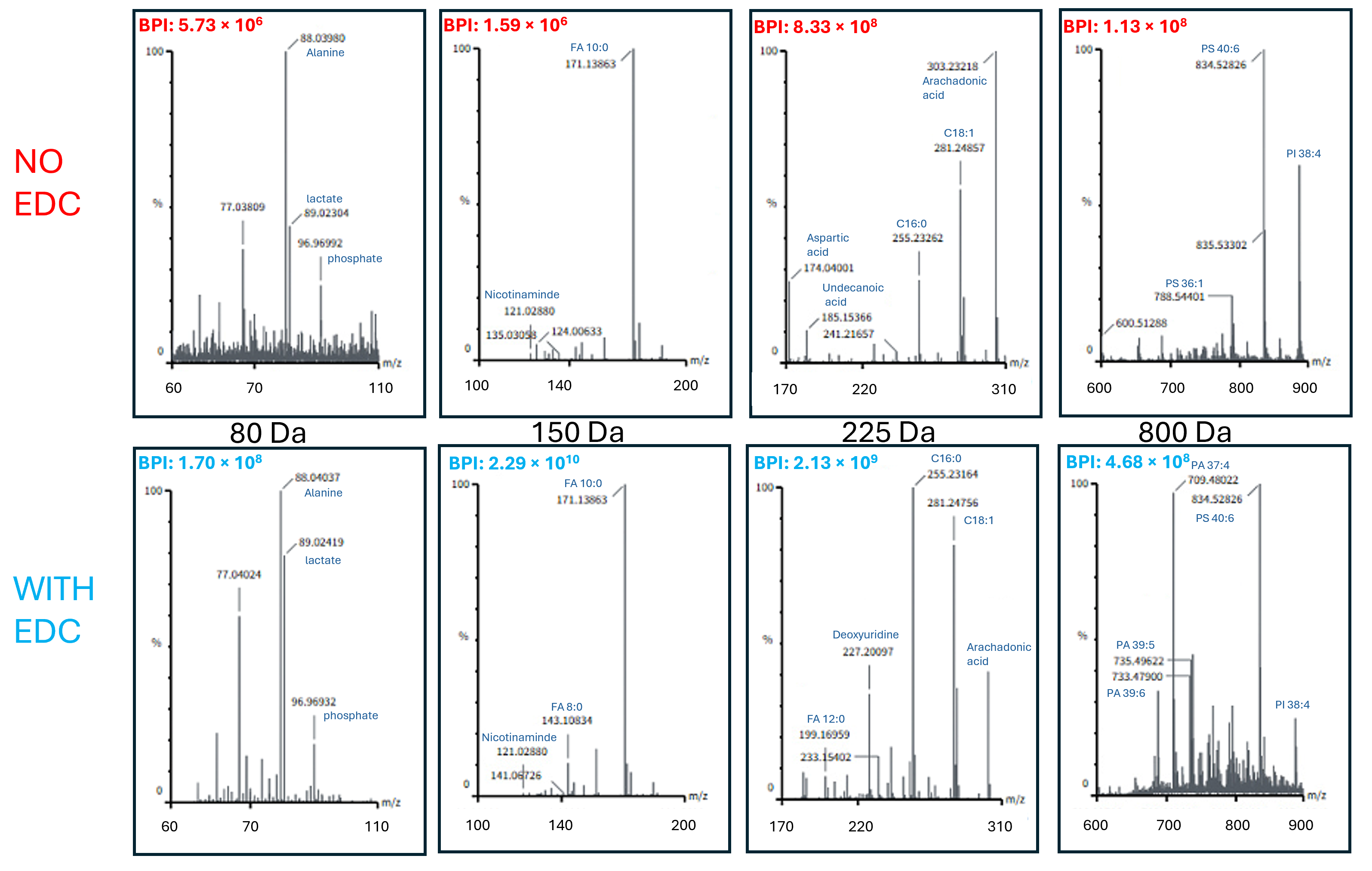 Metabolites 16 00429 g006 Metabolites 16 00429 g006