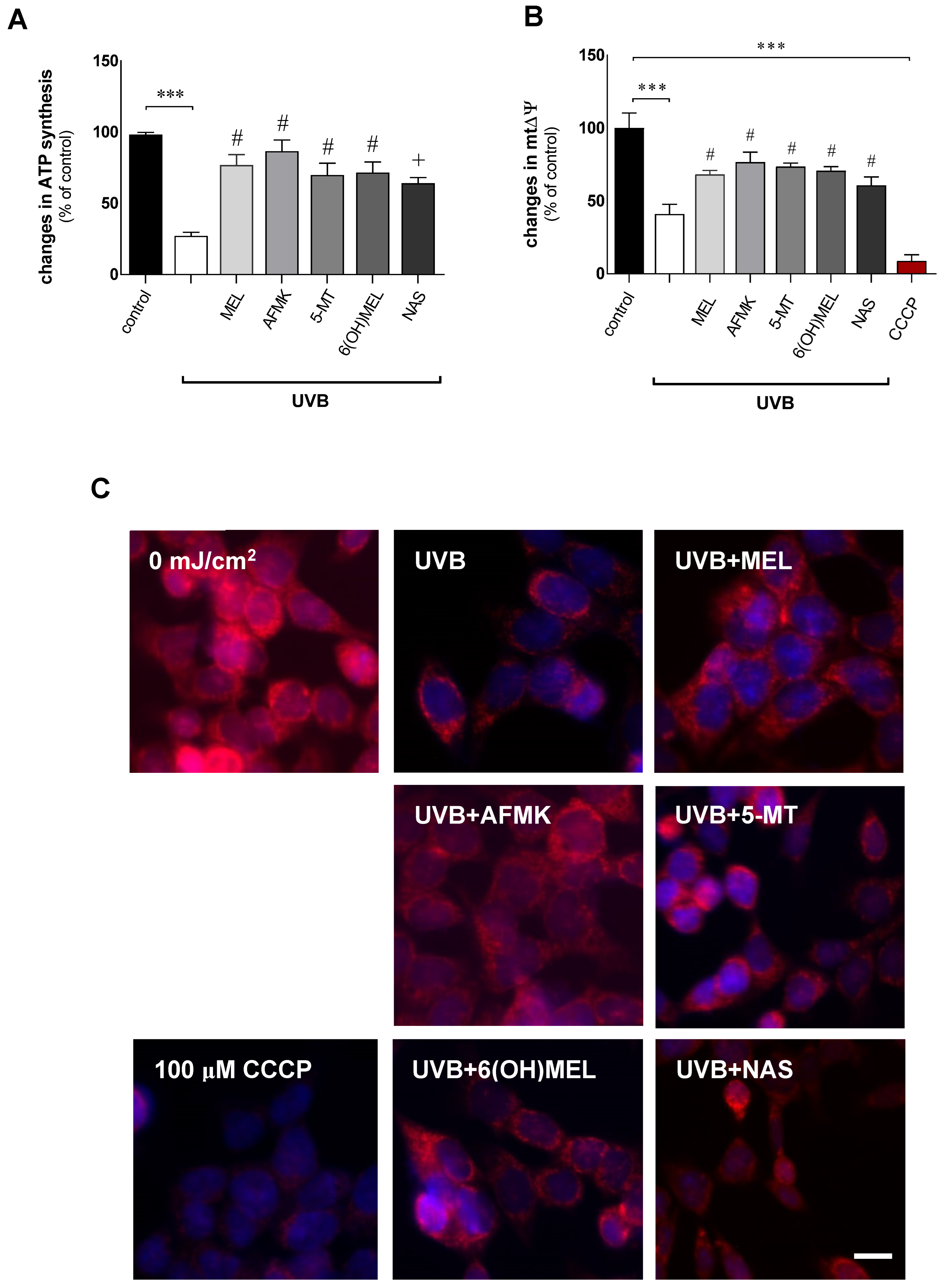 Metabolites 16 00458 i001 Metabolites 16 00458 i001