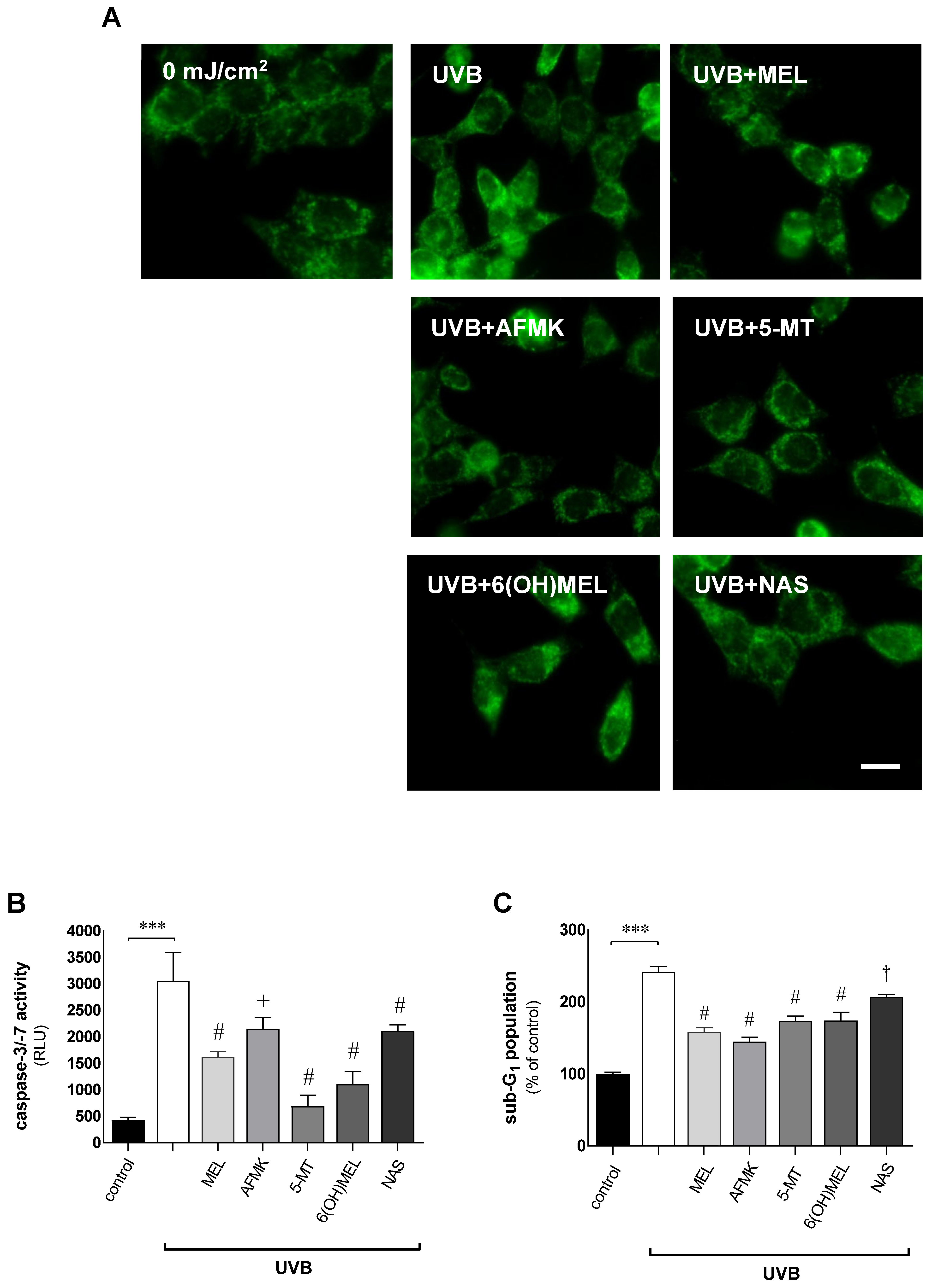 Metabolites 16 00458 i002 Metabolites 16 00458 i002