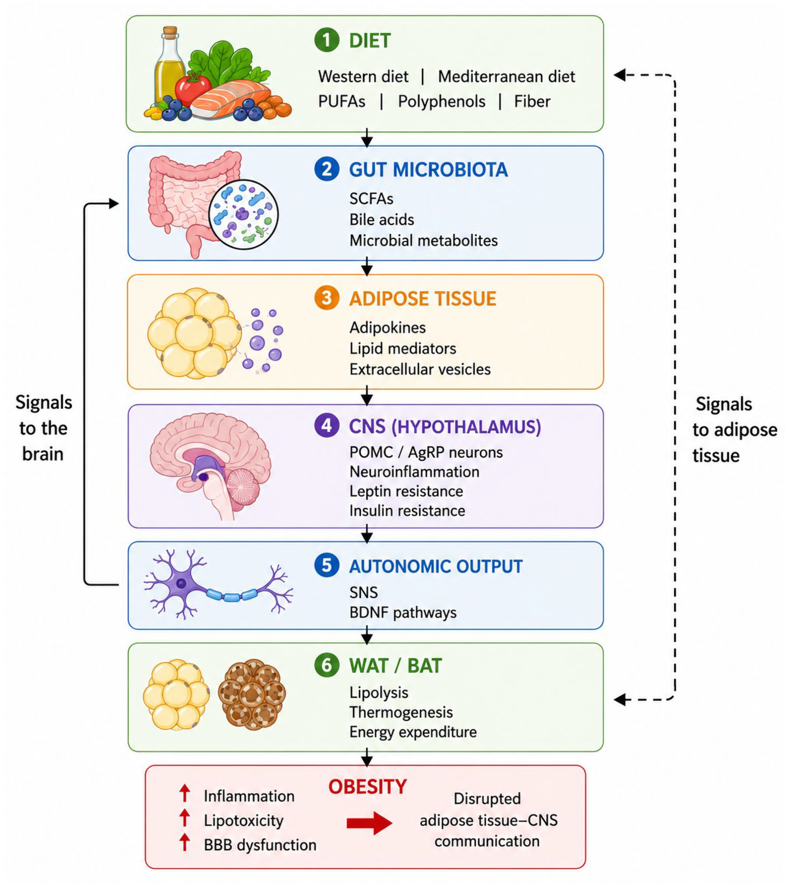 Metabolites 16 00533 g001 Metabolites 16 00533 g001