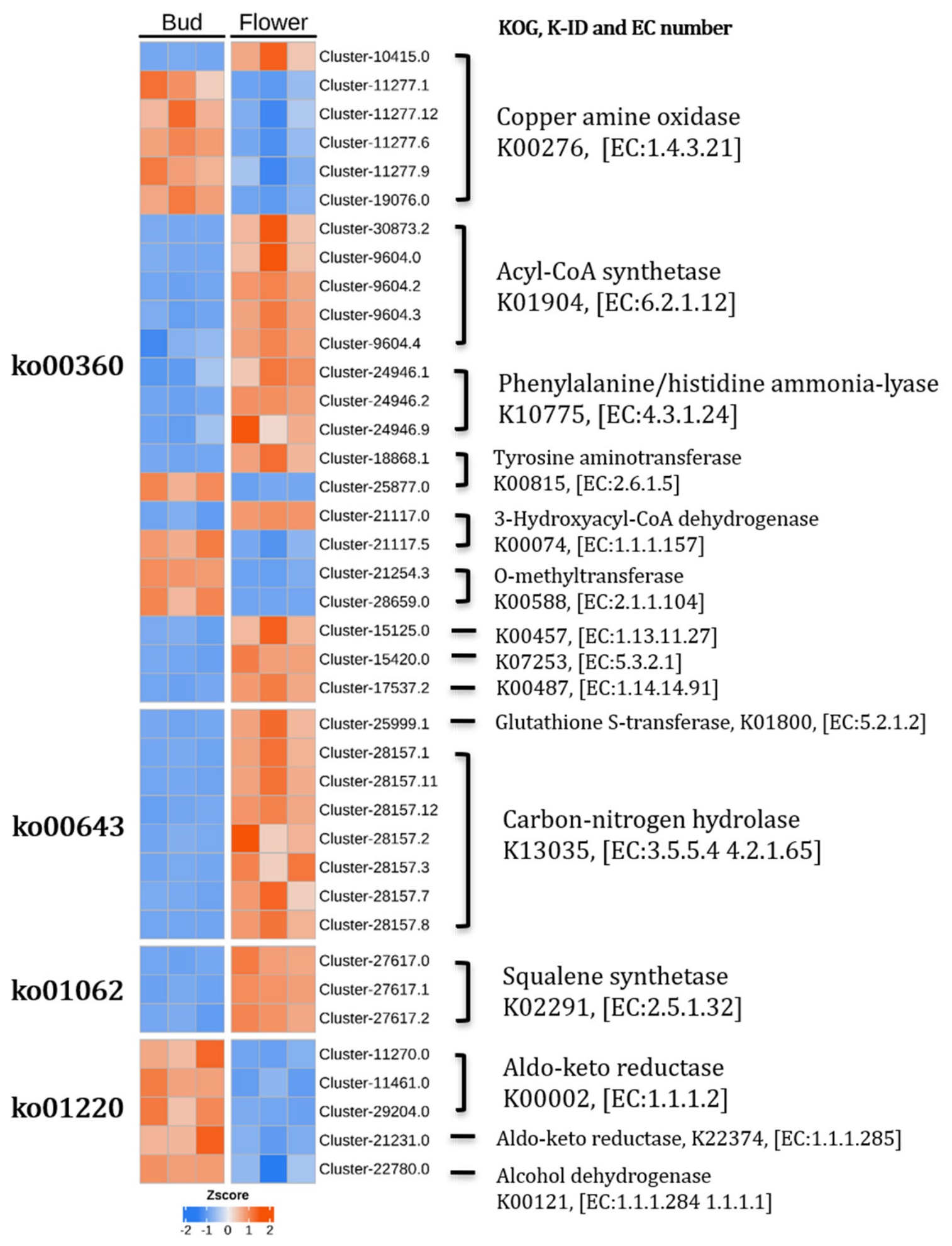 Metabolites 16 00611 g004 Metabolites 16 00611 g004