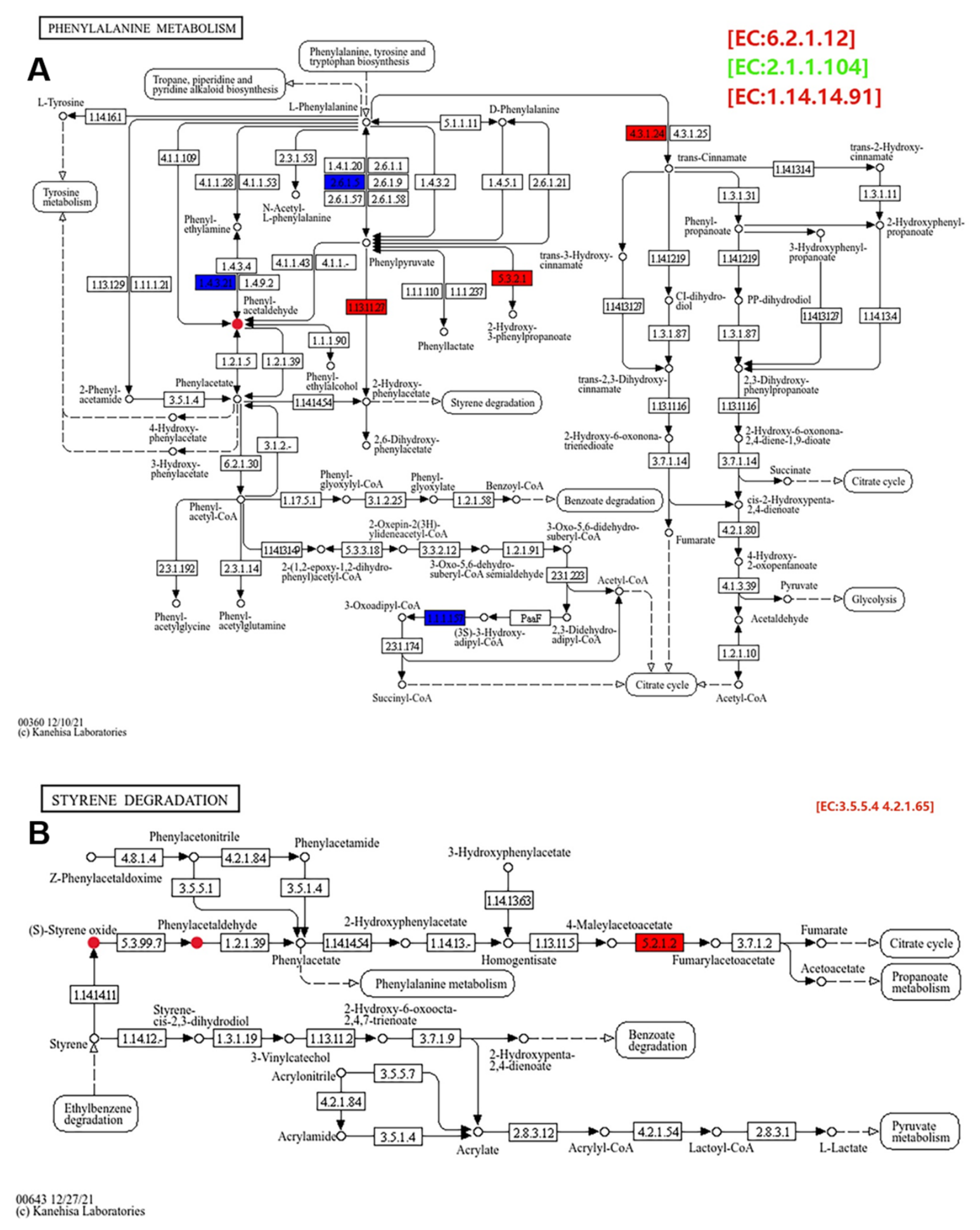 Metabolites 16 00611 g006 Metabolites 16 00611 g006