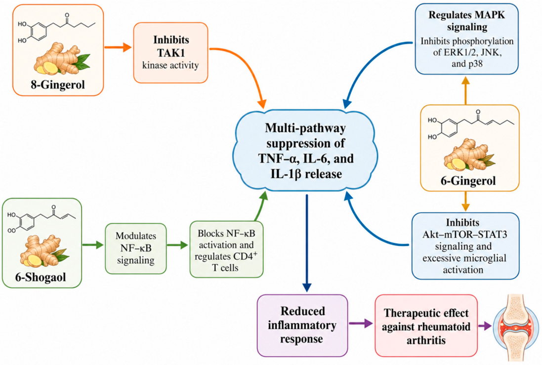 Metabolites 16 00661 g007 Metabolites 16 00661 g007