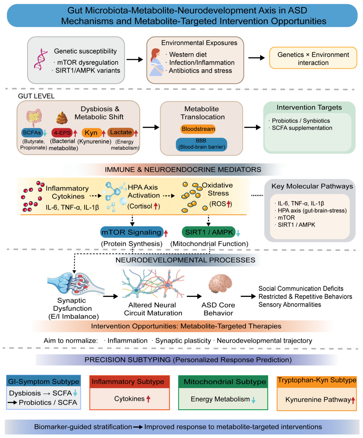 Pathogenesis Cascade Metabolic Dysregulation and Metabolite-Targeted Interventions in Autism ...