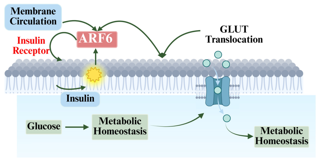 Metabolites 16 00769 g002 Metabolites 16 00769 g002