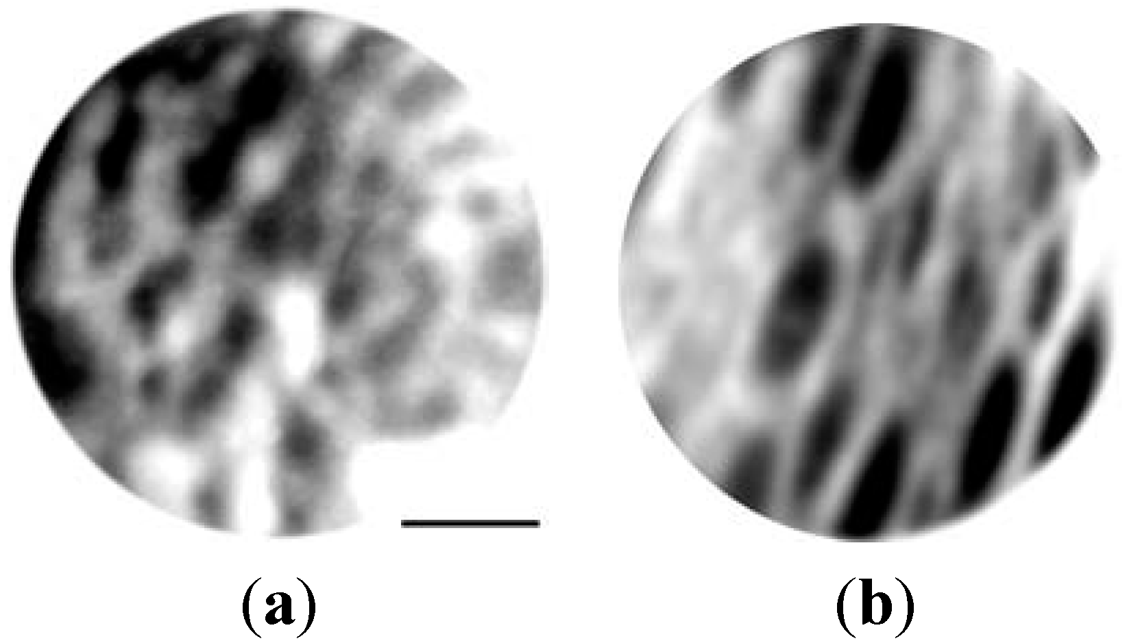 Metals 02 00441 g002