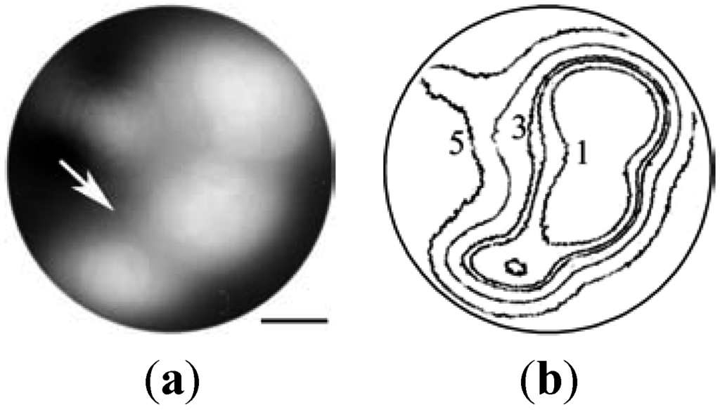 Metals 02 00441 g004 1024