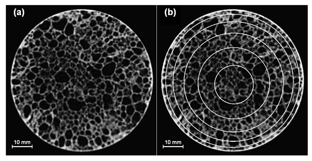 Metals 02 00508 g001 1024