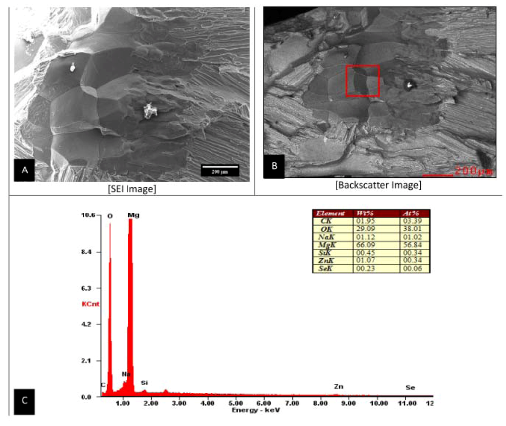 Metals 03 00023 g006 1024