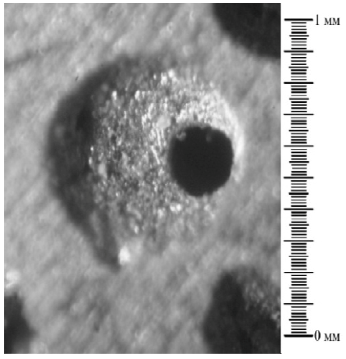 Metals 03 00049 g003