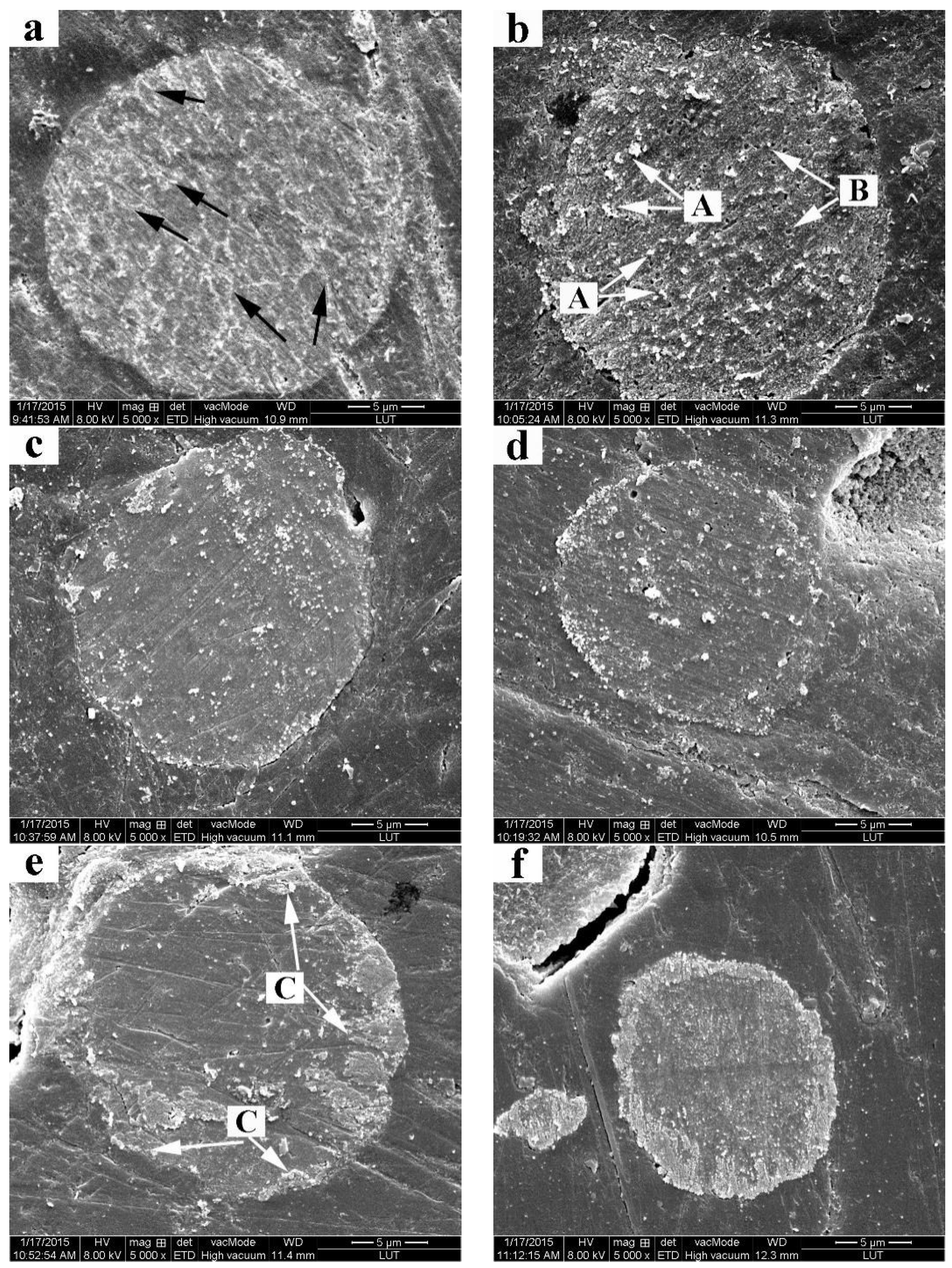 Metals 05 00547 g003