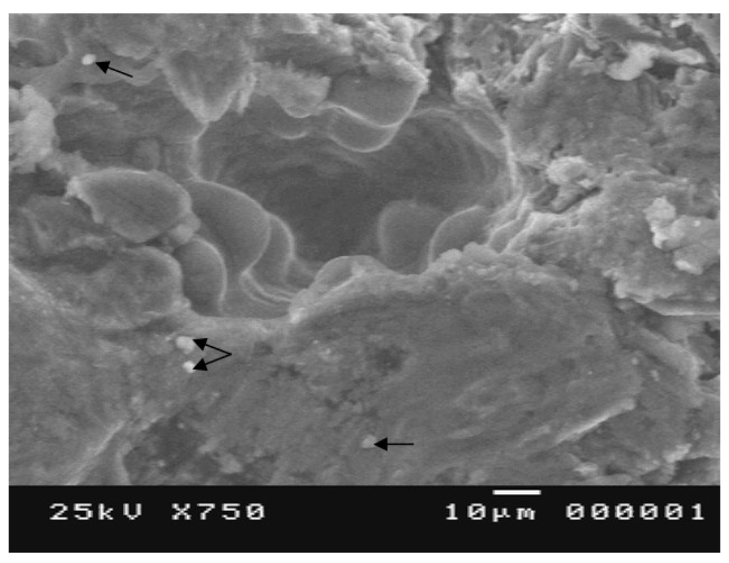 Metals 05 00802 g013 1024