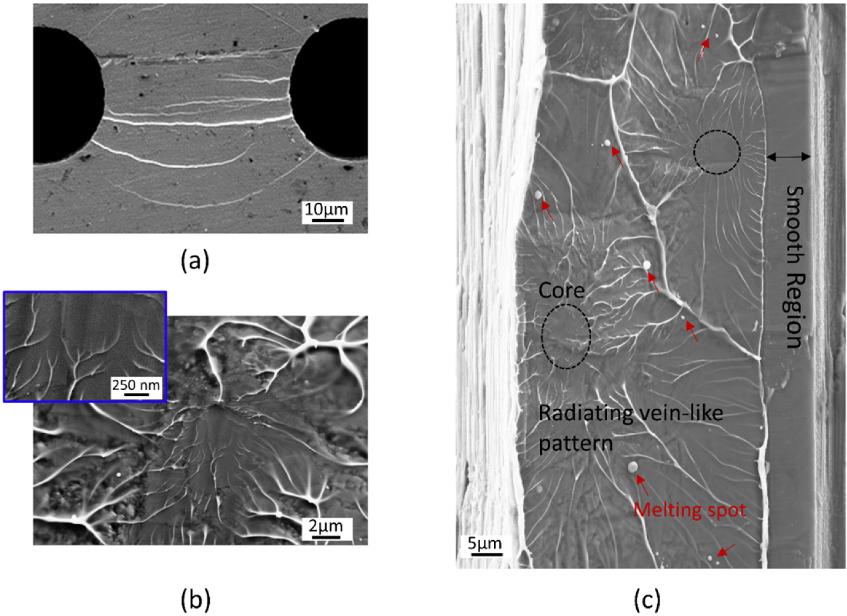 Metals 05 00920 g005