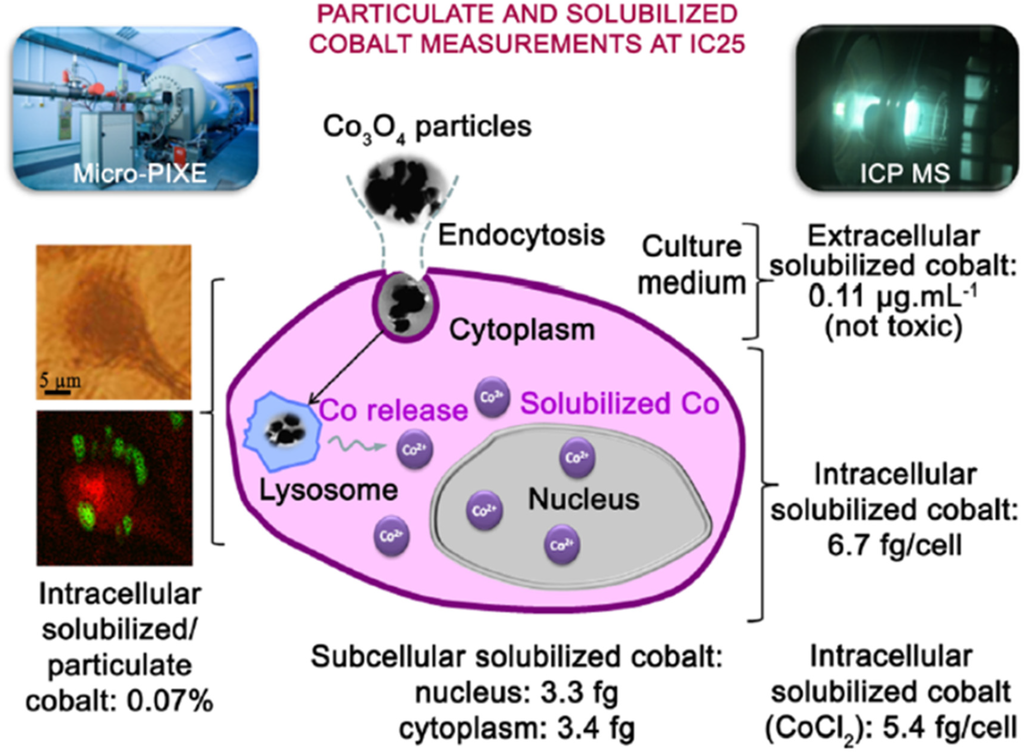 Metals 05 00934 g002 1024
