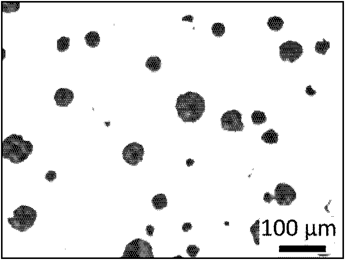 Metals 05 01000 g004 1024