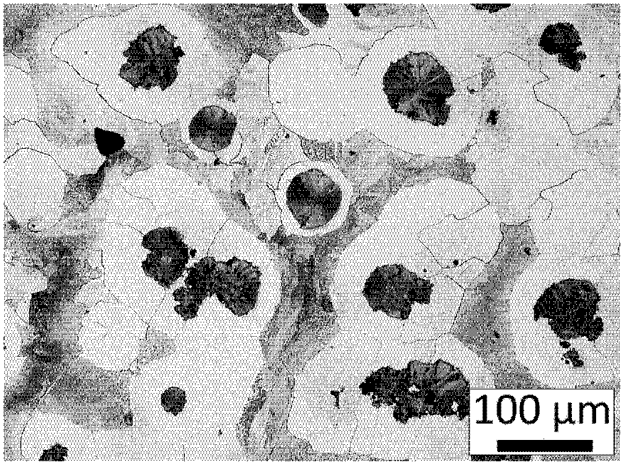 Metals 05 01000 g005 1024