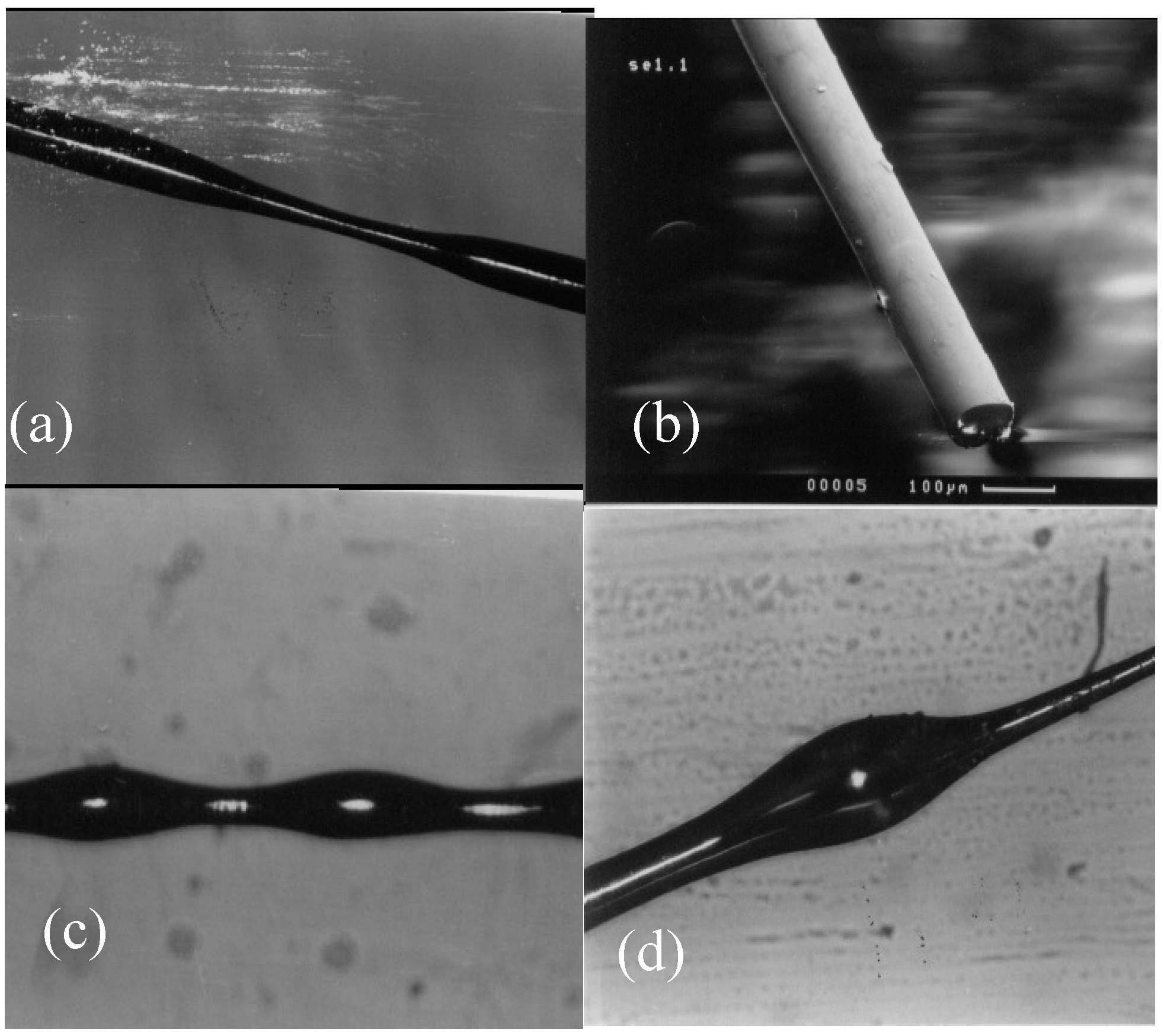 Metals 05 01029 g006