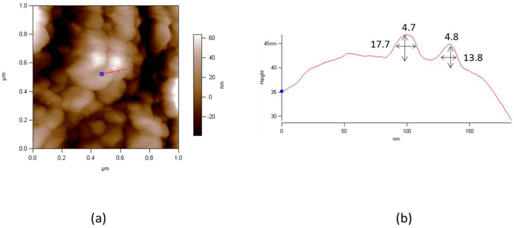 Metals 05 01212 g003 1024