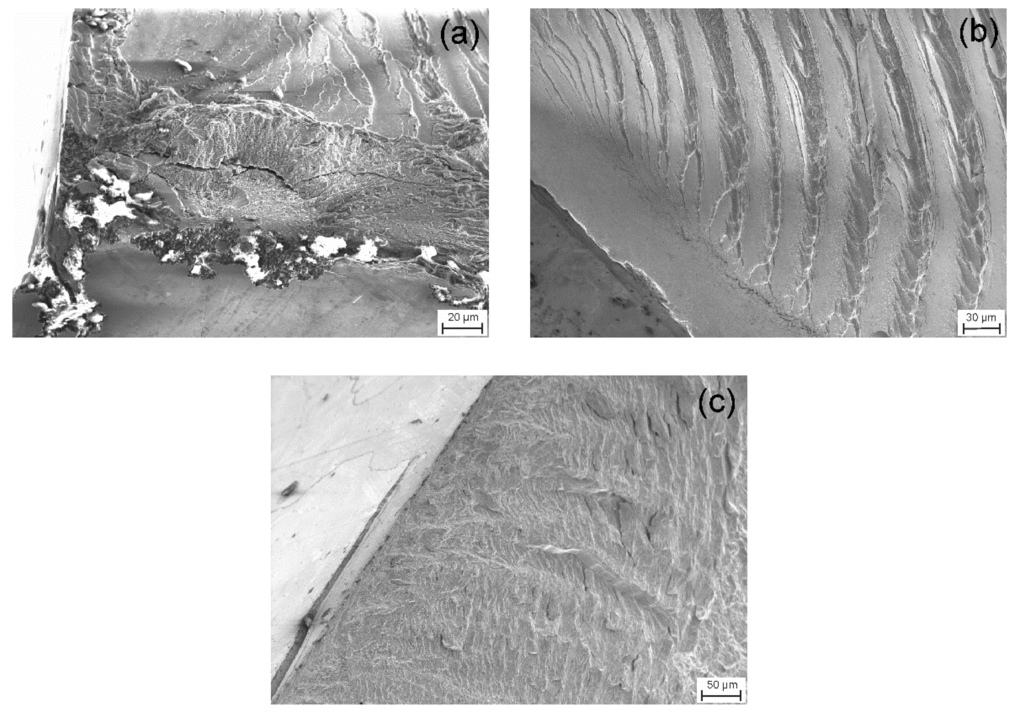 Metals 05 01262 g005 1024