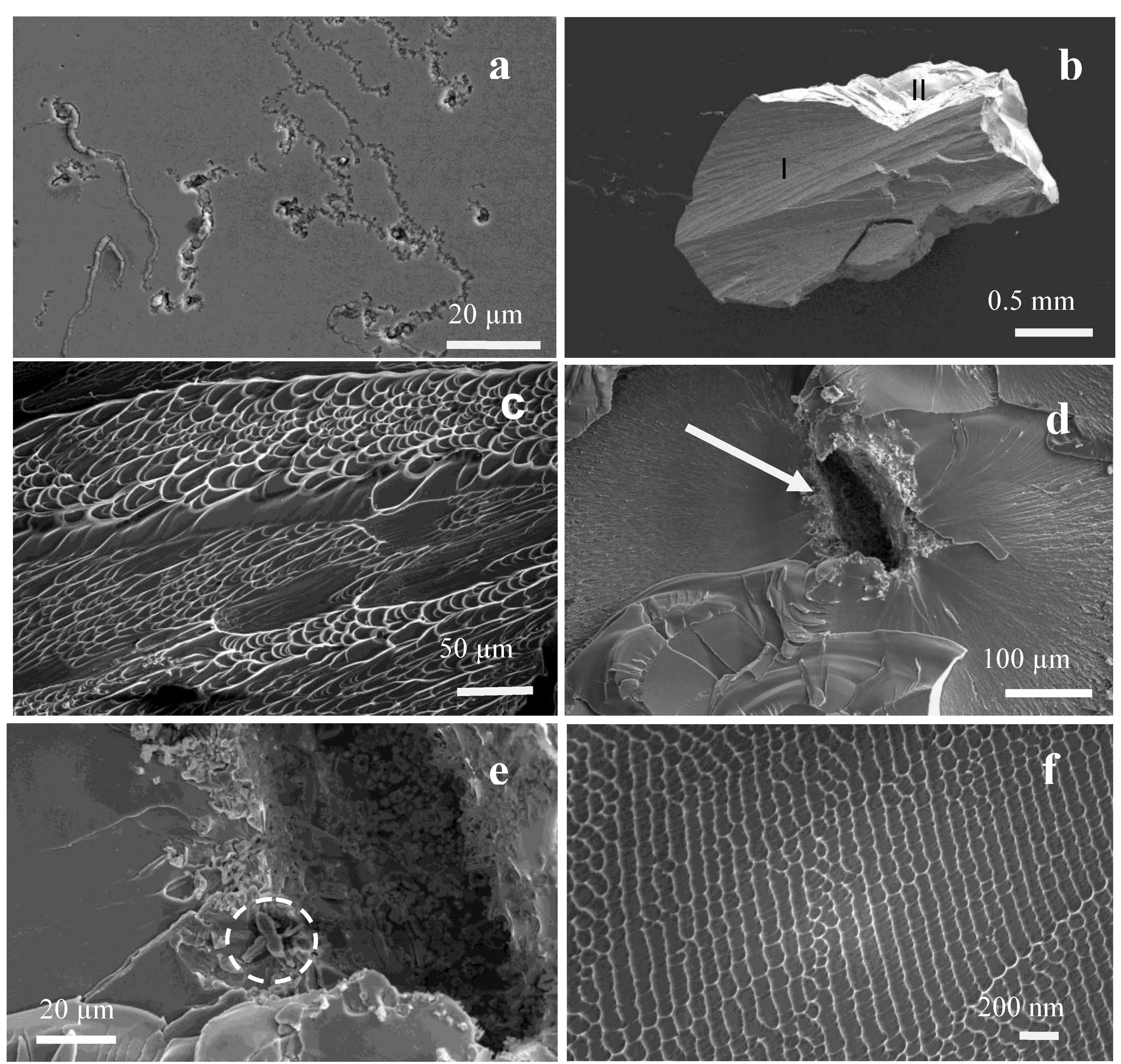 Metals 05 01279 g005