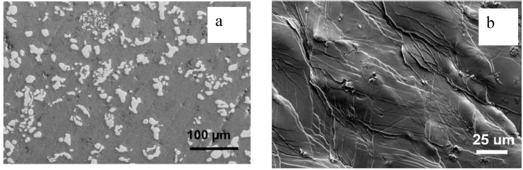 Metals 05 01279 g007 1024