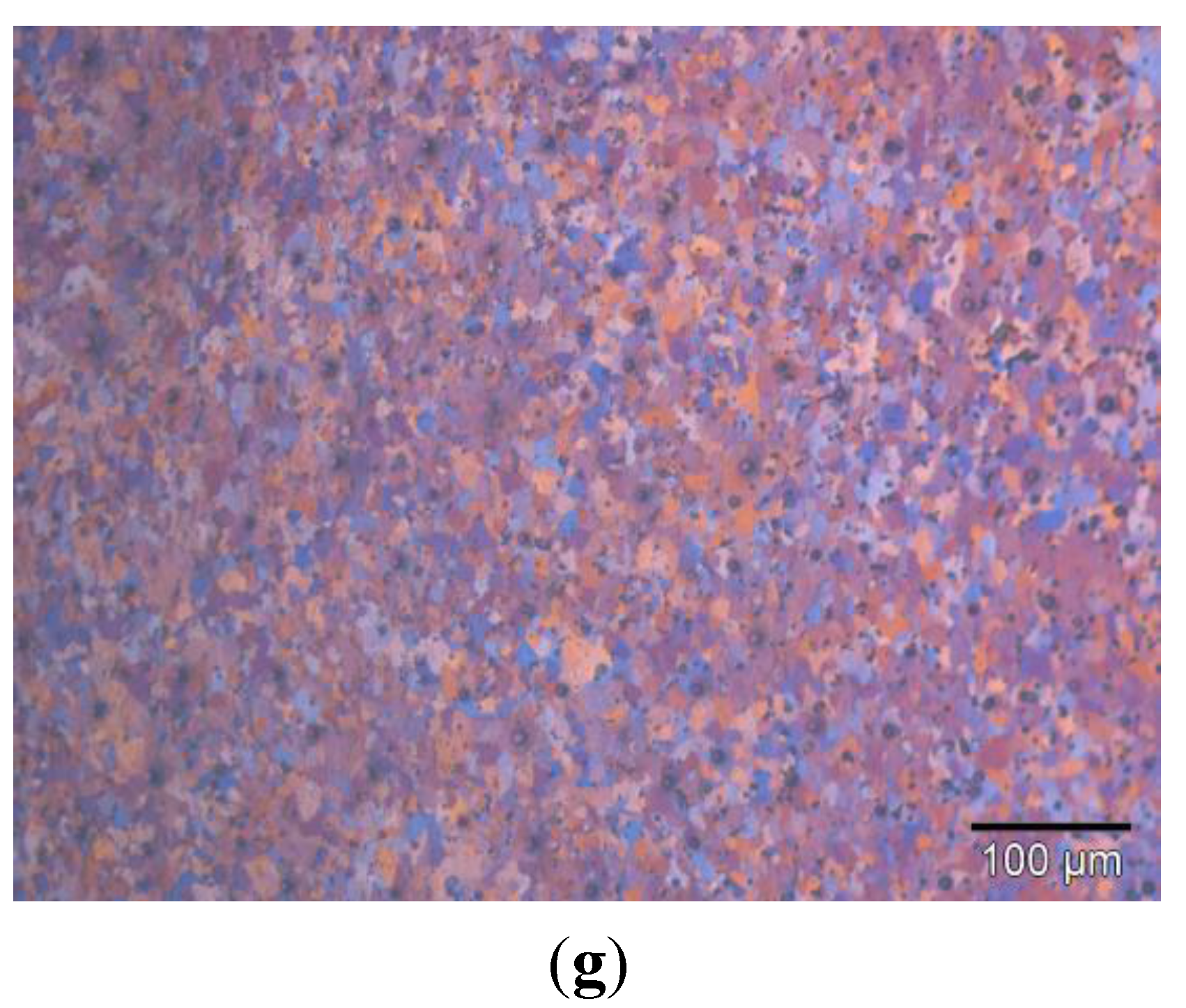 Metals 05 01397 g005b