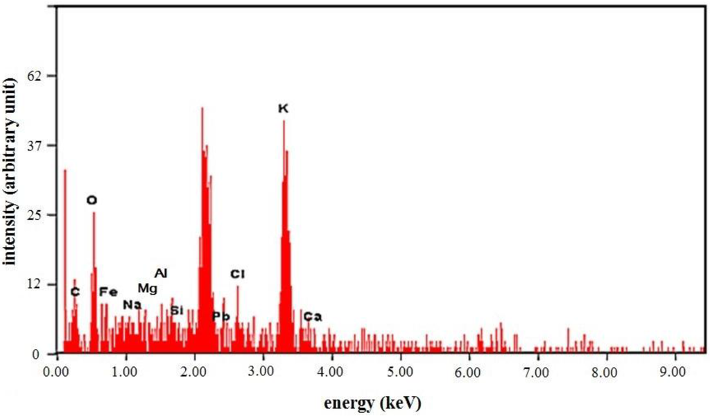Metals 05 01770 g005 1024