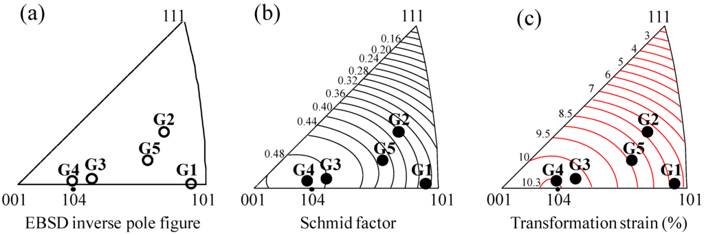 Metals 05 01845 g004 1024
