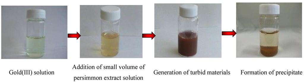 Metals 05 01921 g014 1024