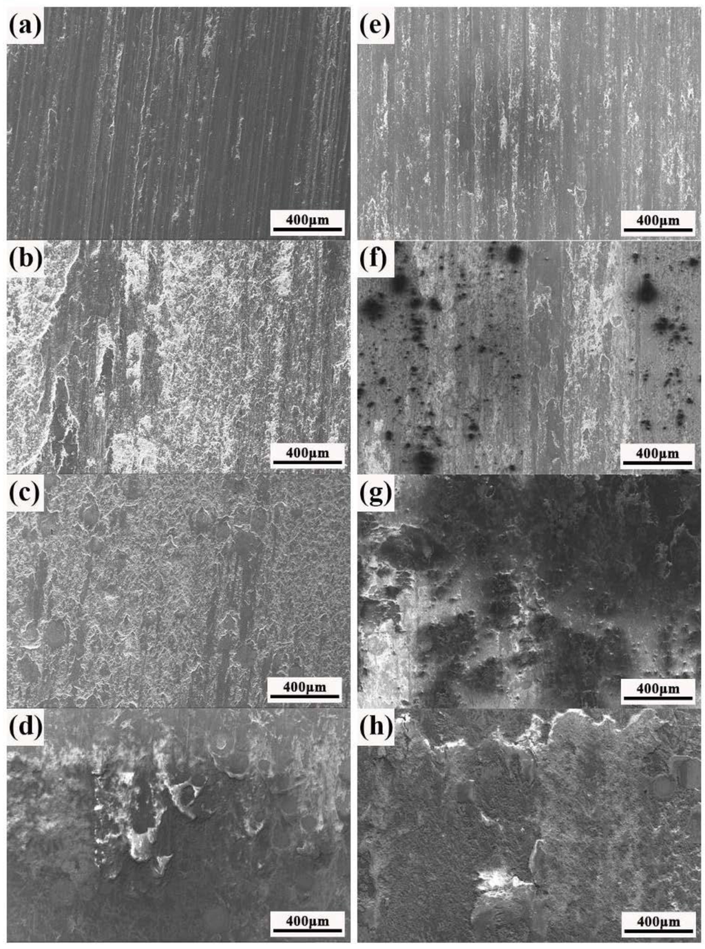Metals 05 01984 g011 1024