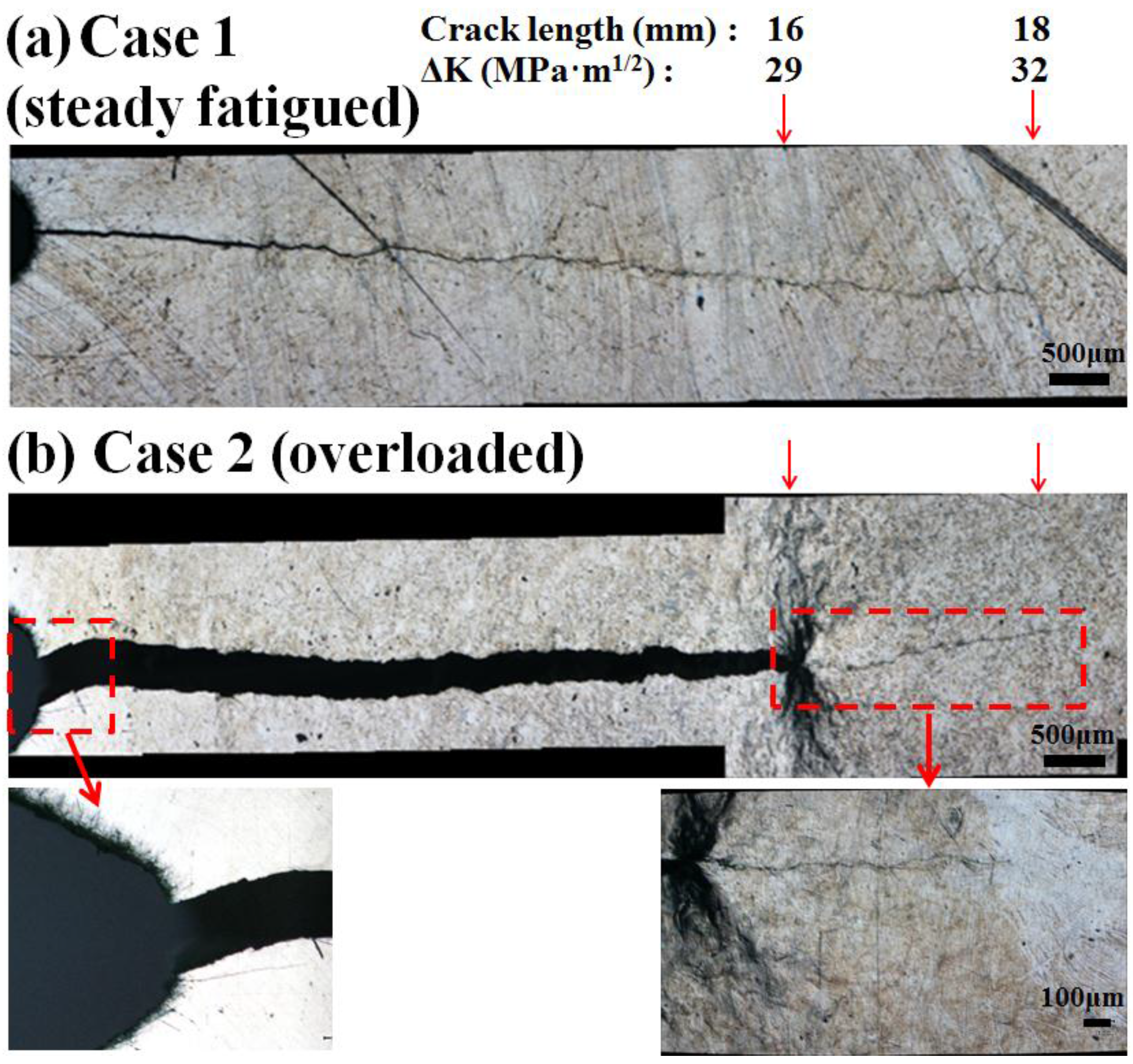 Metals 05 02109 g004