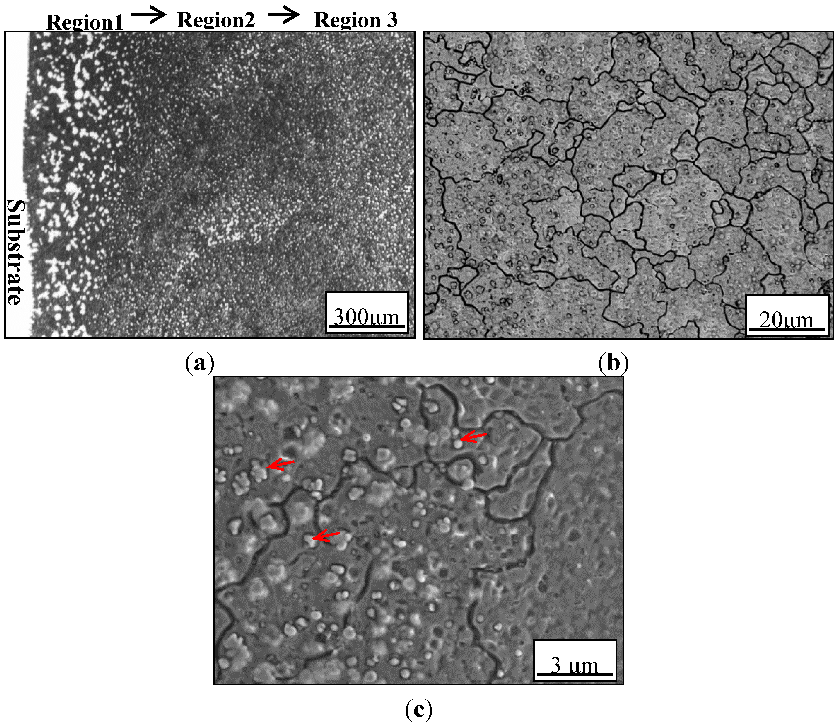 Metals 05 02119 g001